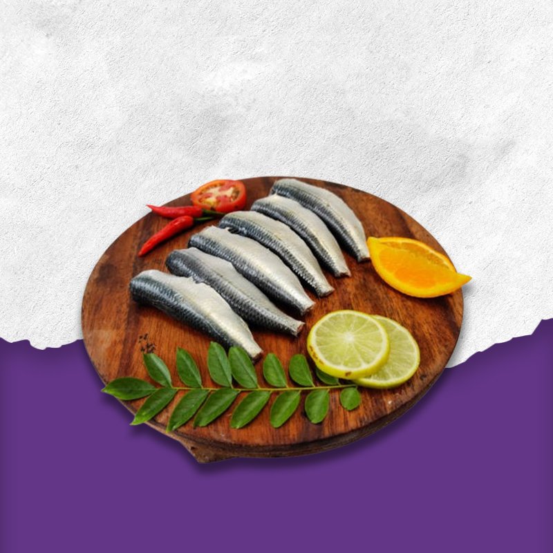 Indian Sardine ipswich