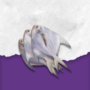 Silver Pomfret ipswich